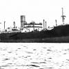 General Cargo vessel, S.S. "Ferndale", built in 1924 at Commonwealth Dockyard, Sydney.  Employed in international cargo from 1924 until 1928, owned by White Star Line.  Managed by G Thompson & Co Ltd.
Tonnage:  9670
Dimensions:  length 500', breadth 63'