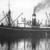 General Cargo vessel, S.S. "Mildura", ex 'S.S. Enoggera'.  Built in 1920 in Newcastle, NSW.  Owned by CGL, AUSN, and employed in interstate cargo from 1920 to 1951.  Sold for demolition.
Official Number:  130164
Port Of Registry:  Melbourne
Dimensions: