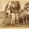 Personnel with captured shark