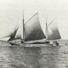 Ex "JC Taylor", 2 masted ketch, built in 1885 by Edward Higgs, Torquay, co.  Devon, Tasmania.  Renamed "Priscilla" in 1901 and an auxilliary engine was fitted in 1927 (18 bhp).  Registered in Port adelaide in October 1900 by Samual James Bishop, later SJ 