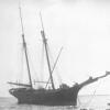 2 masted schooner, built in 1874 by John Lowen, Port Adelaide.  Vessel has 1 deck a round stern and is carvel built.  Owned by John Kuhl & Partners, vessel foundered inSt Vincent' sGulf on Dec 15 1876 and was subsequently raised, repaired and re-registere