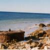 Passenger cargo vessel boiler on KI Beach