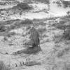 Showing wreckage of the American schooner - ribs lined up