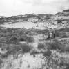 Showing wreckage of the American schooner - looking inland