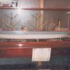 Model of general cargo vessel