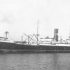 1915 Refrigerated cargo vessel in port