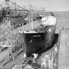Ore carrier of 14,467 gross ton laid down by Whyalla shipbuilding and Engineering works for BHP in 1962.  Later that year vessel was sold to The Australian National Line and named "Musgrave range".  It was completed in 1964 and sold to Zea Shipping Co in 