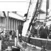 Wood and iron composite 3 masted schooner, built in1875 by HC Fletcher, Port adelaide as an iron riverine barge for HB Hughes.  Reregistered in Port Adelaide in March 1922 by RM Garnaut & others, later Fricker & Co Ltd & others (which from time to time in