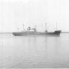 General cargo vessel, "Dandenong", built in 1946 by BHP Co Pty Ltd, Whyalla for the Australian Government.  In 1947 management was transferred to The Australian Shipping Board, and in 1957 was transferred to the Australian National Line (having been conve