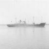 General cargo vessel, "Dandenong", built in 1946 by BHP Co Pty Ltd, Whyalla for the Australian Government.  In 1947 management was transferred to The Australian Shipping Board, and in 1957 was transferred to the Australian National Line (having been conve