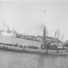 Wooden single screw syteamship tug "Vigilant".   Official Number 106222.  Built in 1899 by Dunn Brothers, Berry's Bay, North Sydney.  Ran a steam engine, 35hP and had a speed of 11.5 knots.  Owners:  J Fenwick, 1900 - A Fenwick and 3 others, 1908 - Millar