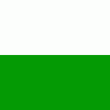 The flag of Zielona Gora aka Gruenberg.